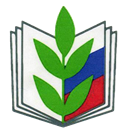 Без названия
